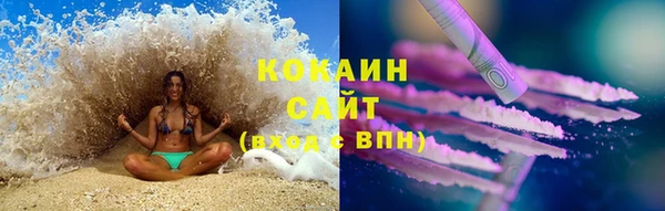 мдпв Пересвет