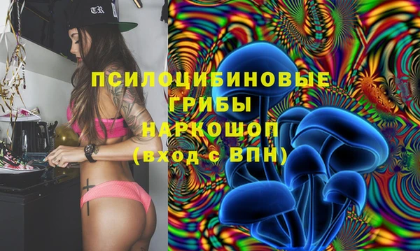 мяу мяу мука Балабаново